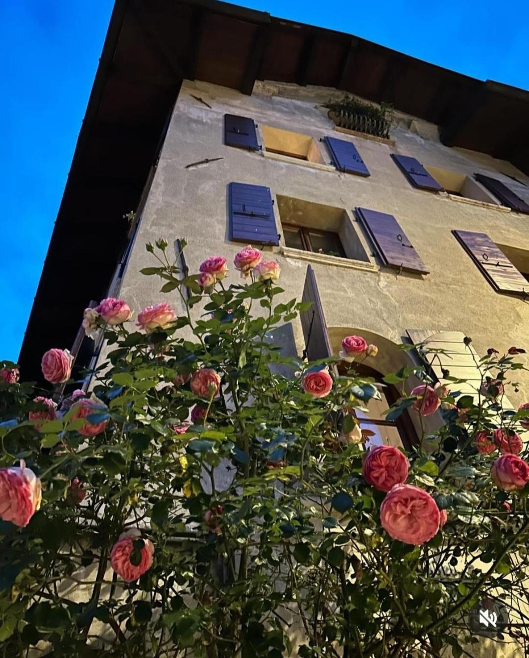 Appartement Via Mezzaterra 10 à Feltre Extérieur photo