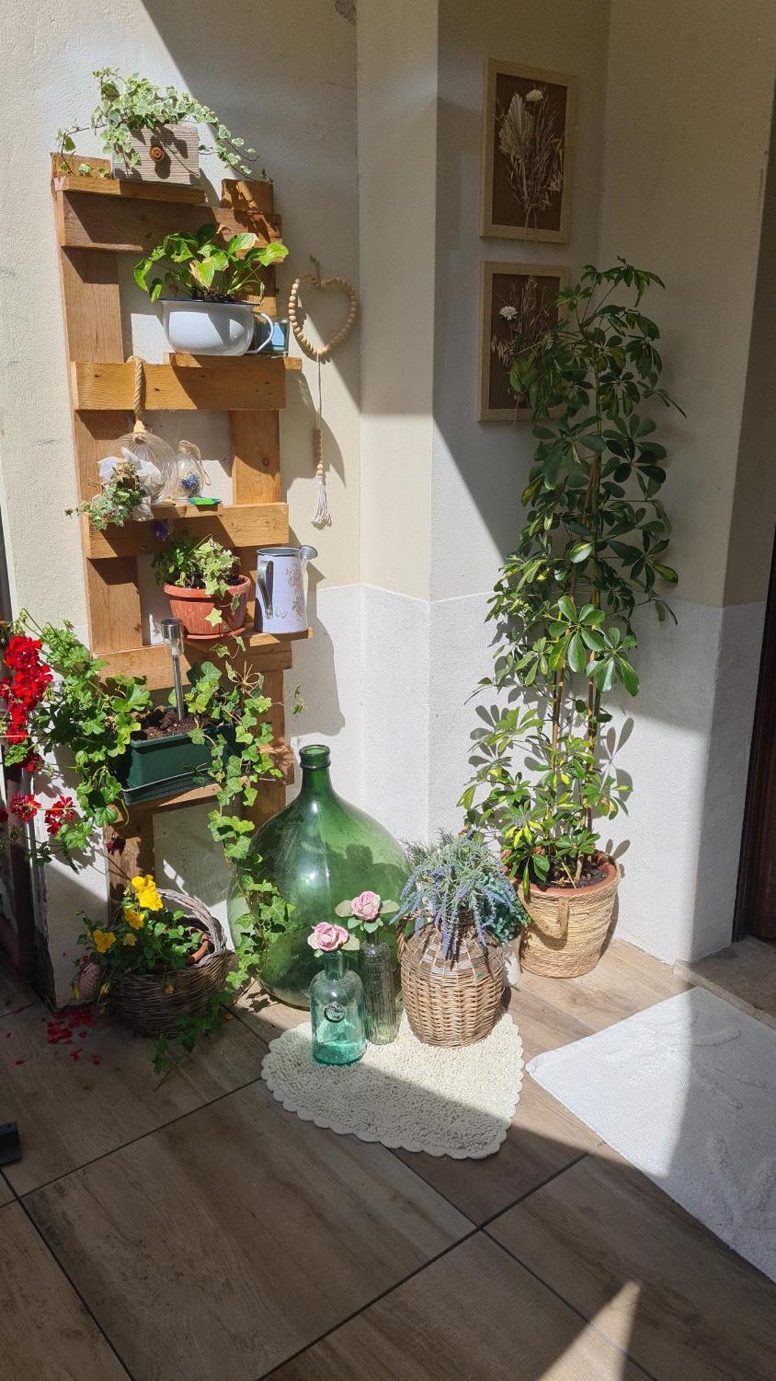 Appartement Via Mezzaterra 10 à Feltre Extérieur photo